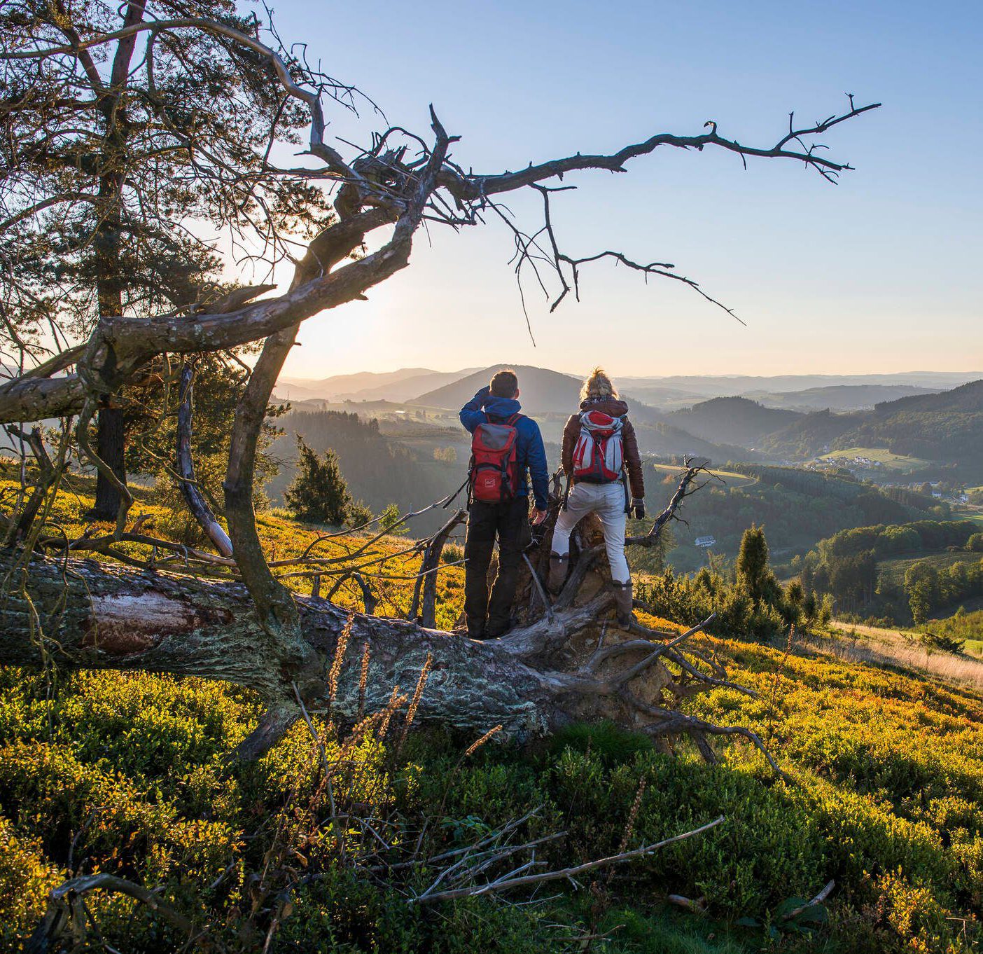 Workshop-Urlaub Sauerland